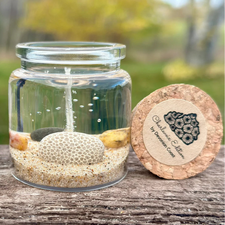 Gel Candle Collection