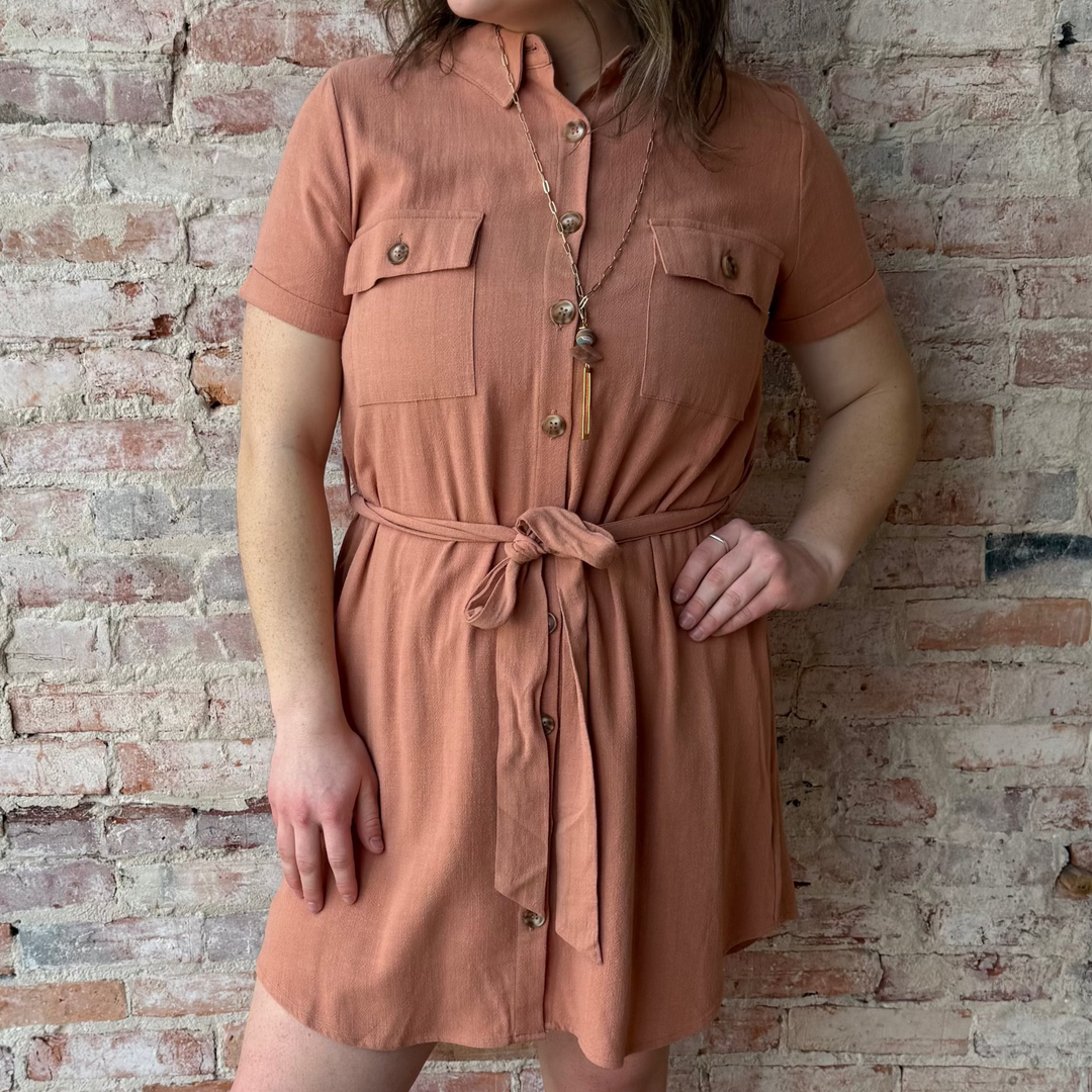 Collared Button Down Mini Dress