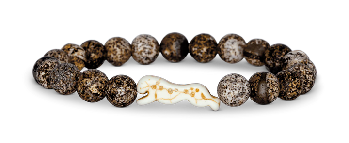 Fahlo Cheetah Collection