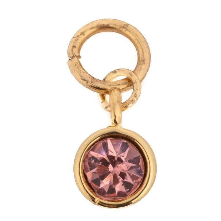 Thea Birthstone Charms