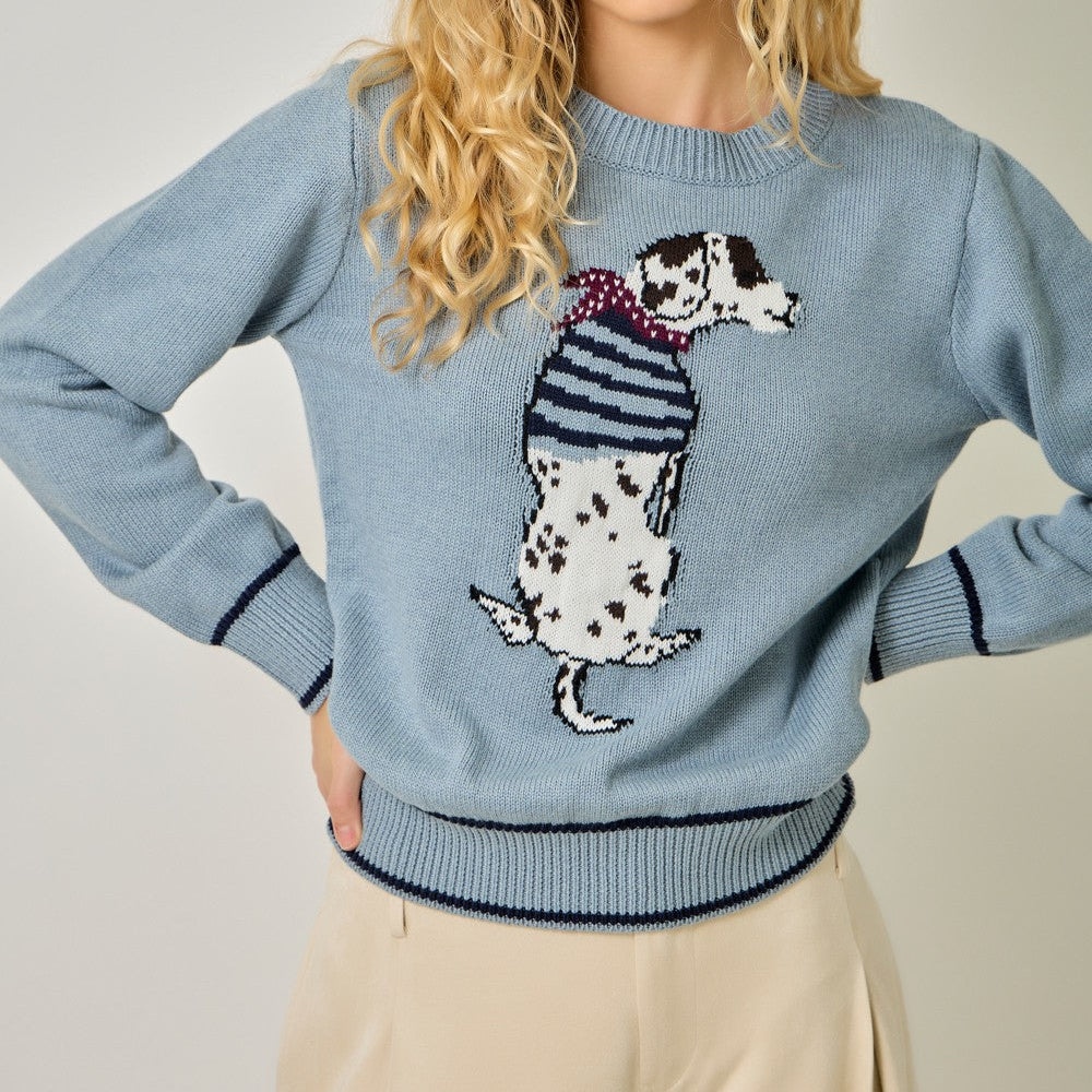 Scarf Dog Sweater