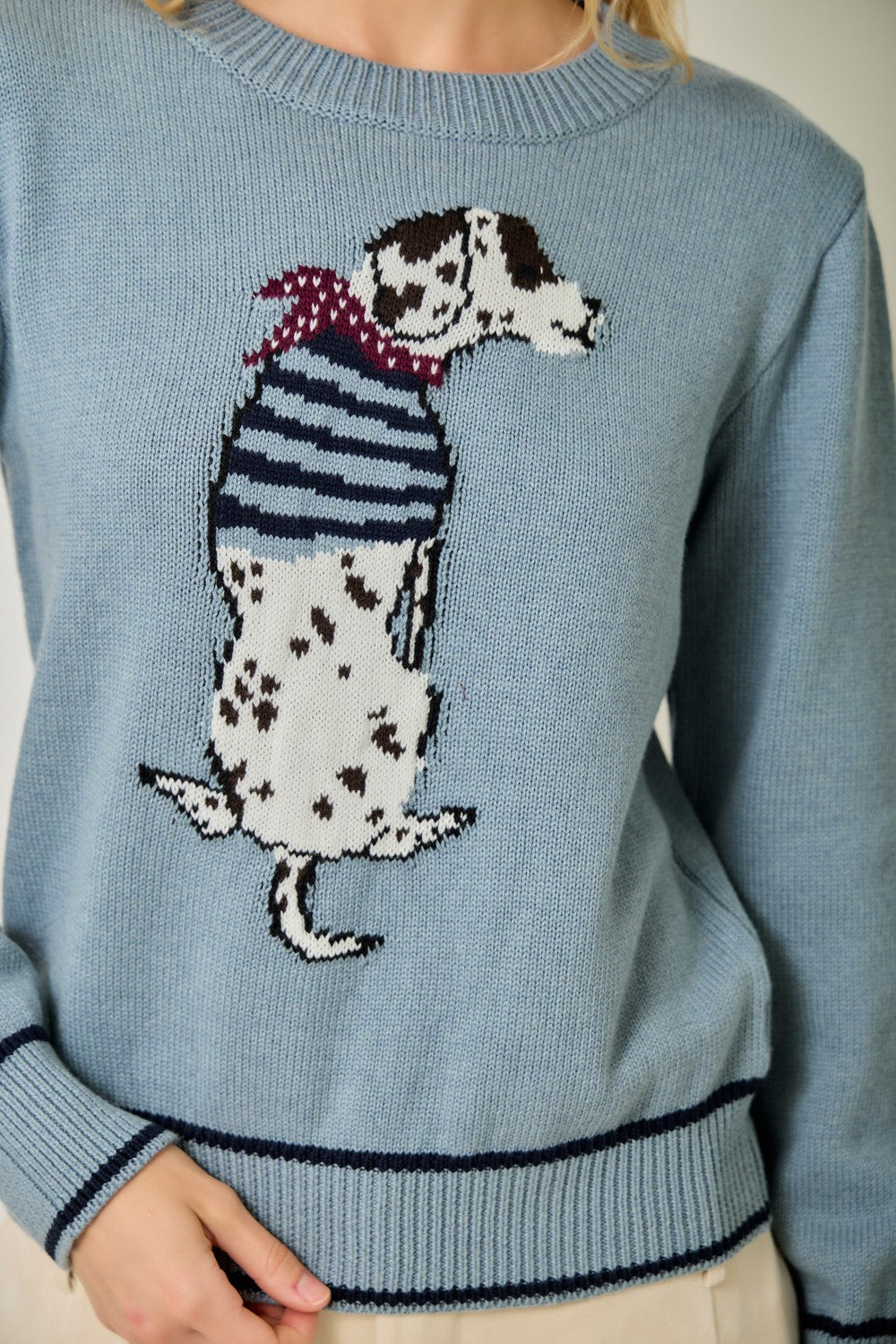 Scarf Dog Sweater