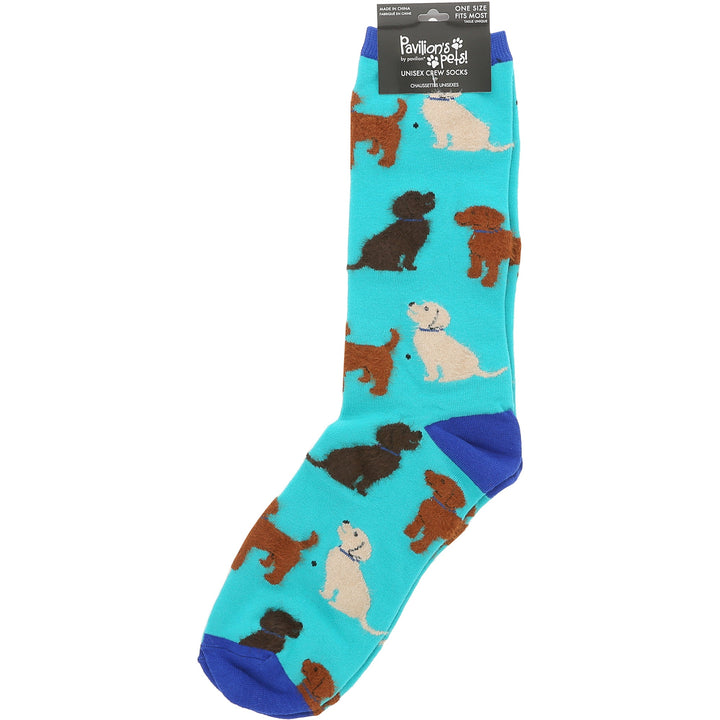 Pavilion brand turquoise crew socks featuring colorful dog breed pattern with blue cuff