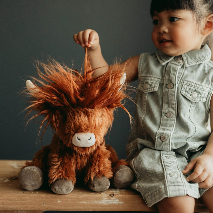 Hamish the Highland Cow plush stuffed animal with shaggy auburn fur and small horns