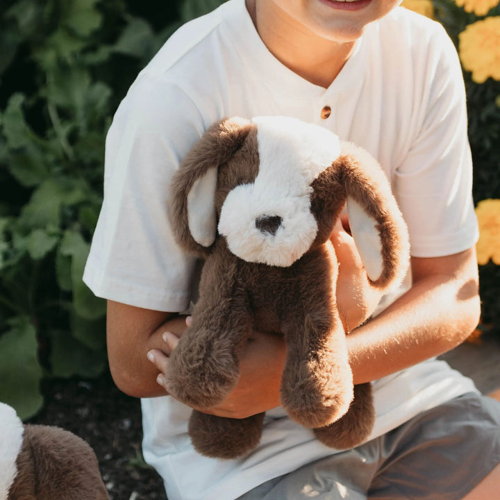 Child holding a soft brown and cream floppy-eared stuffed dog plush toy outdoors
