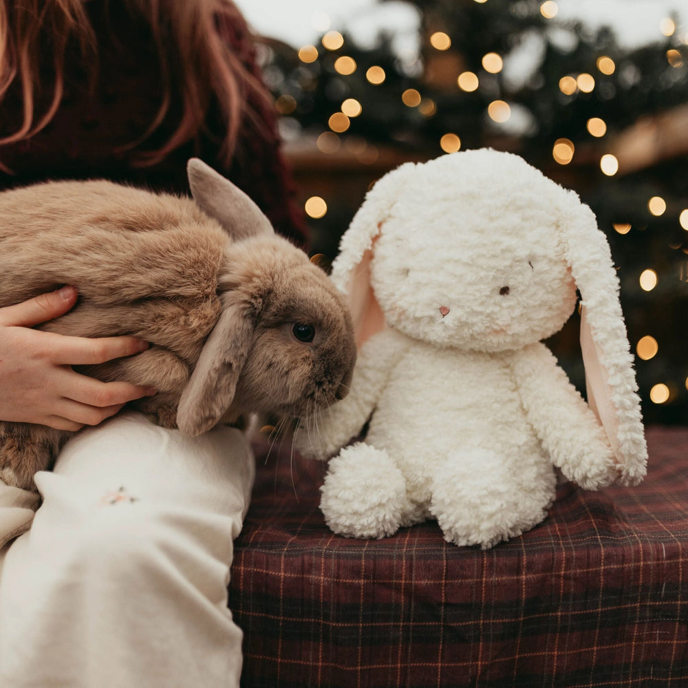 Snowball the Bunny white plush stuffed animal with floppy ears beside a real rabbit
