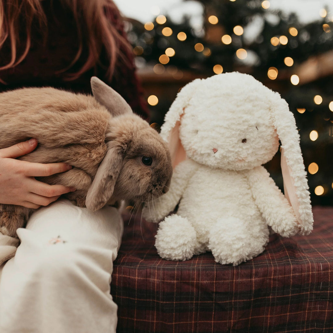 Snowball the Bunny white plush stuffed animal with floppy ears beside a real rabbit