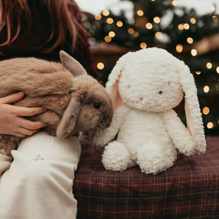 Snowball the Bunny white plush stuffed animal with floppy ears beside a real rabbit