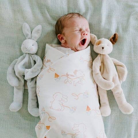 Newborn baby with Bunnies by the Bay Silly Buddies plush toys in mint green
