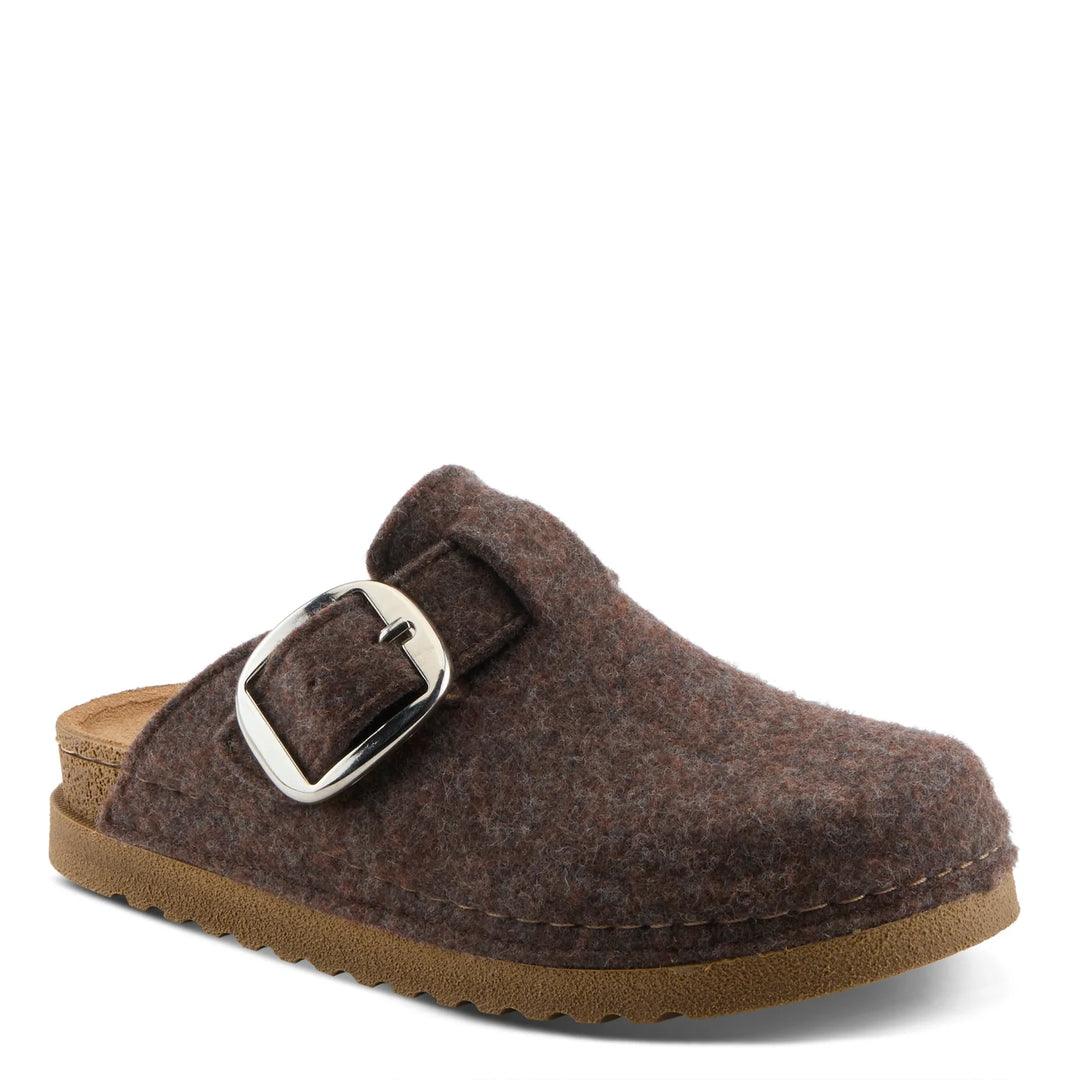 Cloggiller Clogs