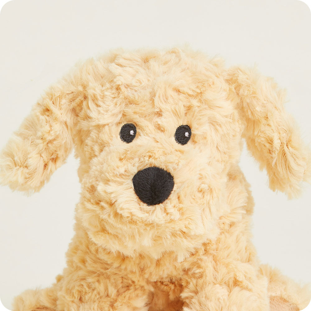 Warmies Junior golden plush dog stuffed animal with curly fur and black nose