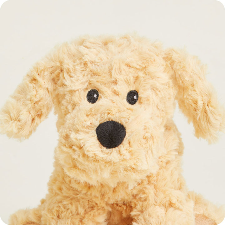 Warmies Junior golden plush dog stuffed animal with curly fur and black nose