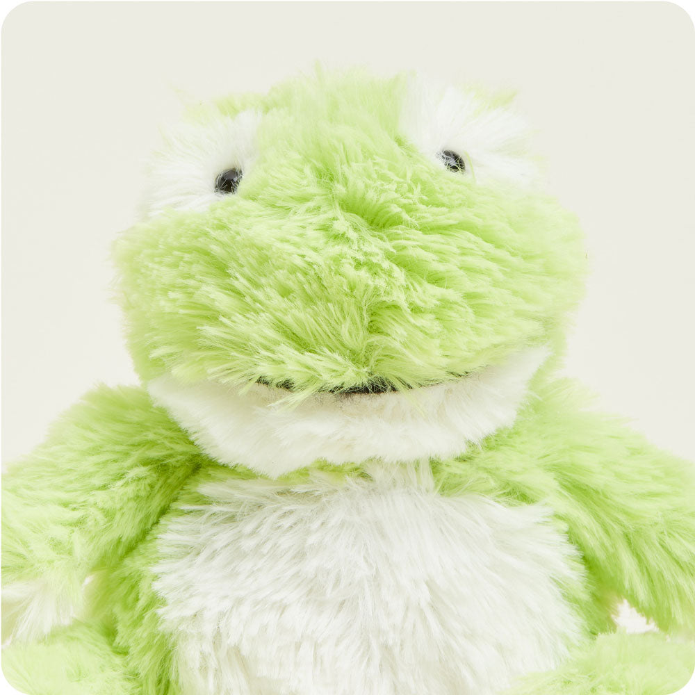Green and white Junior Warmies plush frog toy on clean white background