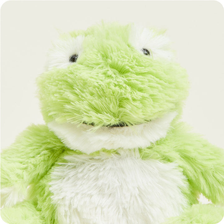 Green and white Junior Warmies plush frog toy on clean white background