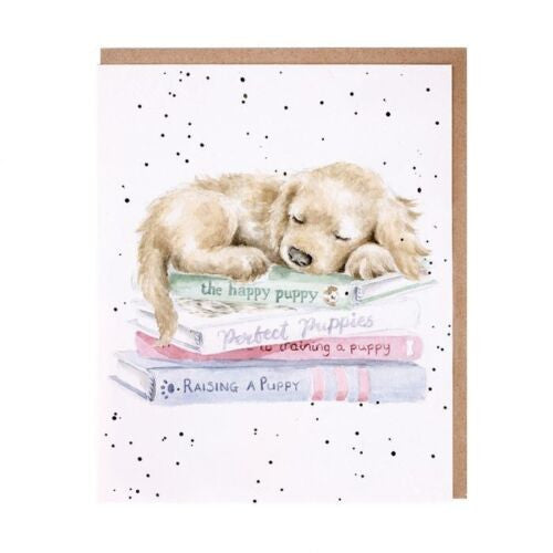Wrendale greeting card featuring watercolor puppy sleeping on stack of books with envelope