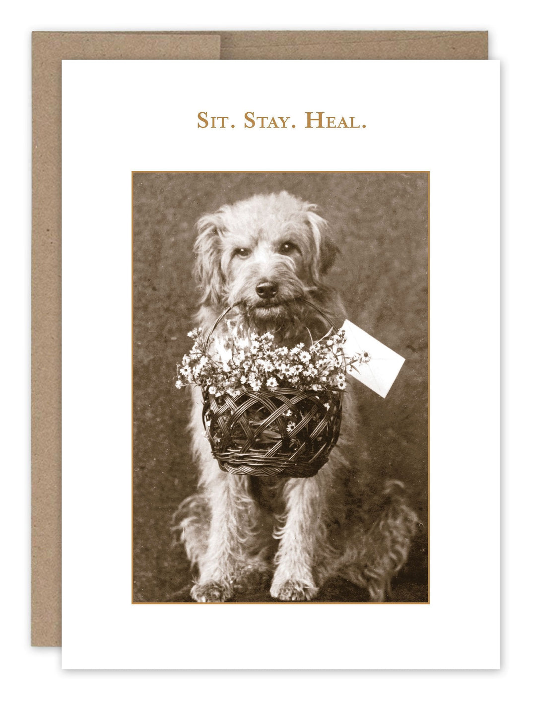 Sit Stay Heal greeting card featuring vintage dog with flower basket photo