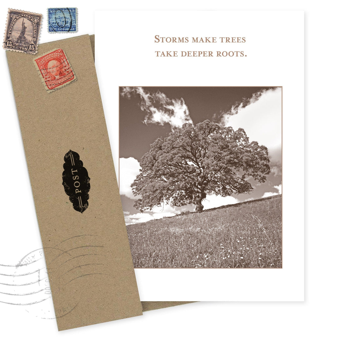 Deeper Roots encouragement card with vintage tree photograph and inspirational quote about storms