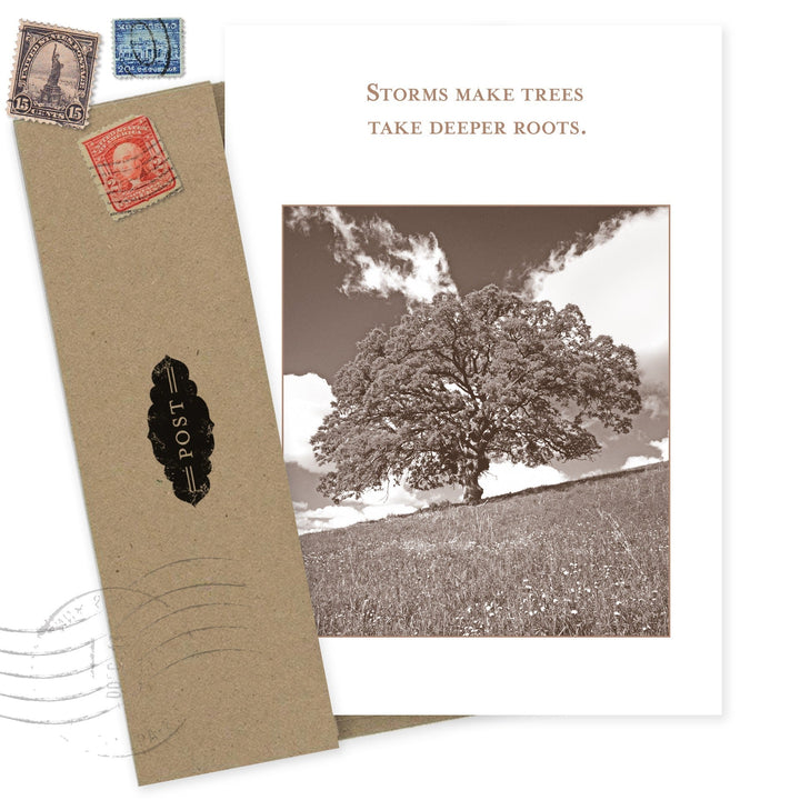 Deeper Roots encouragement card with vintage tree photograph and inspirational quote about storms