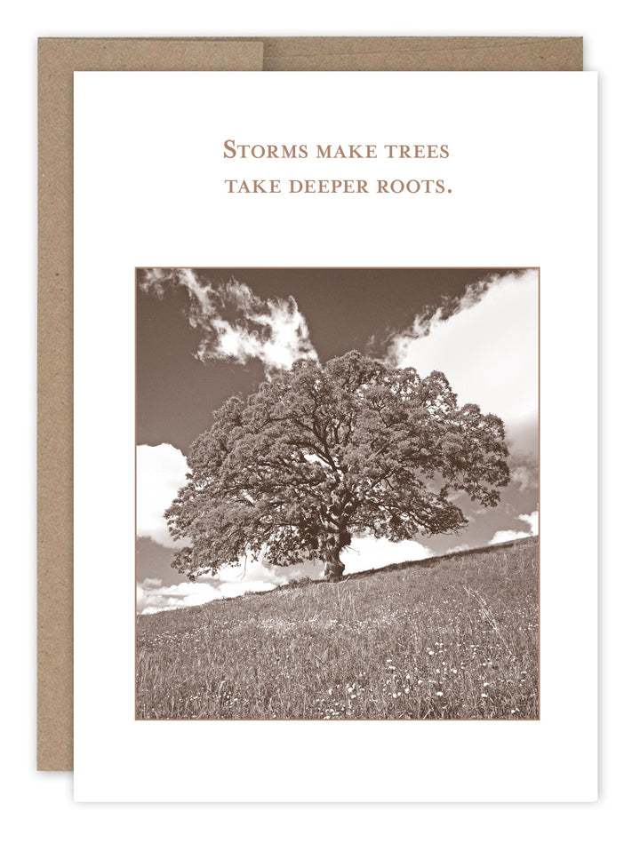 Deeper Roots encouragement card featuring sepia tree photograph with inspirational quote about storms