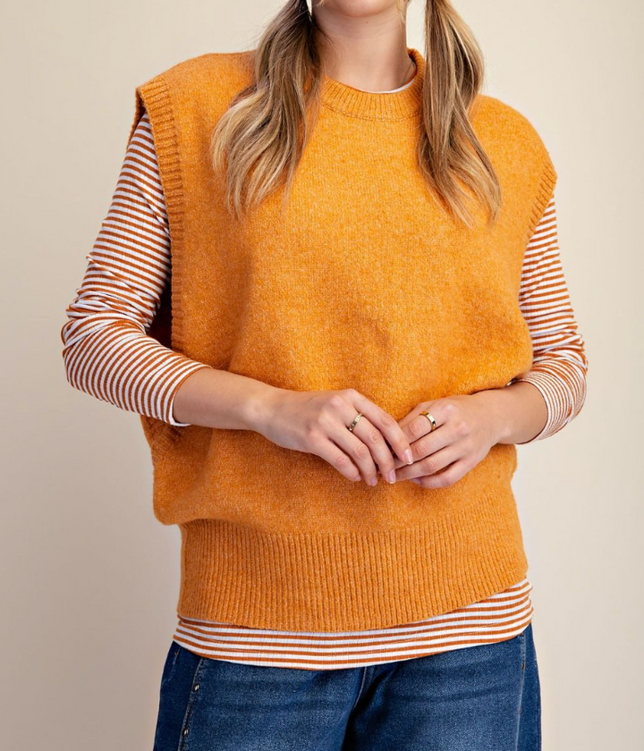 Sleeveless Knitted Sweater Vest