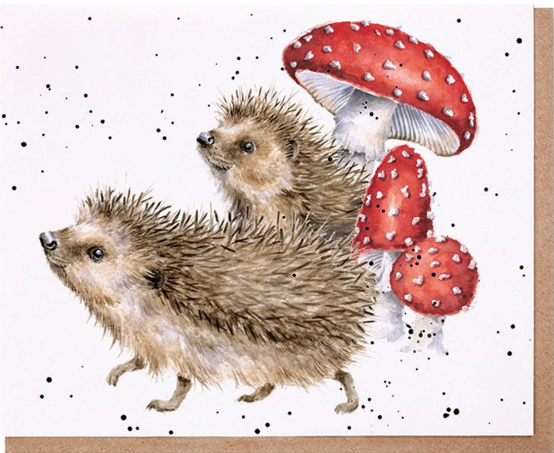 Hedgehog Blank Inside
