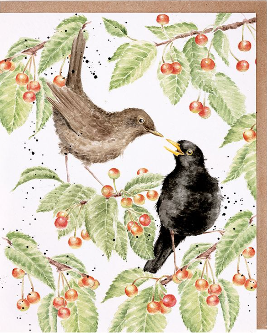 The Cherry Tree' Blackbird Card