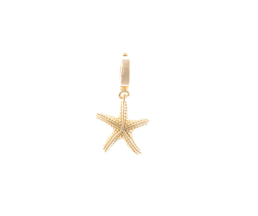 Coastal Charms