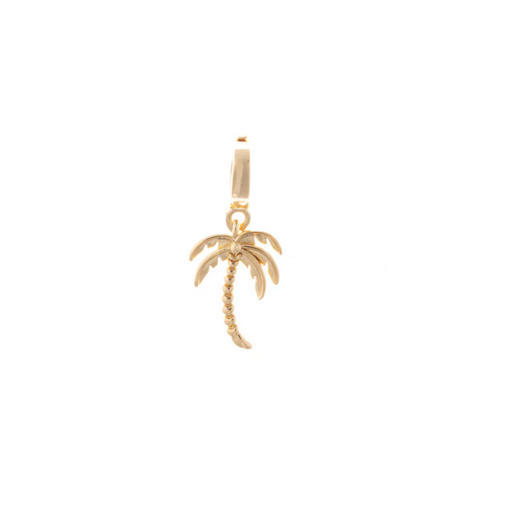 Coastal Charms