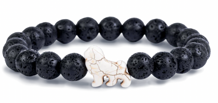 Fahlo Lion Collection