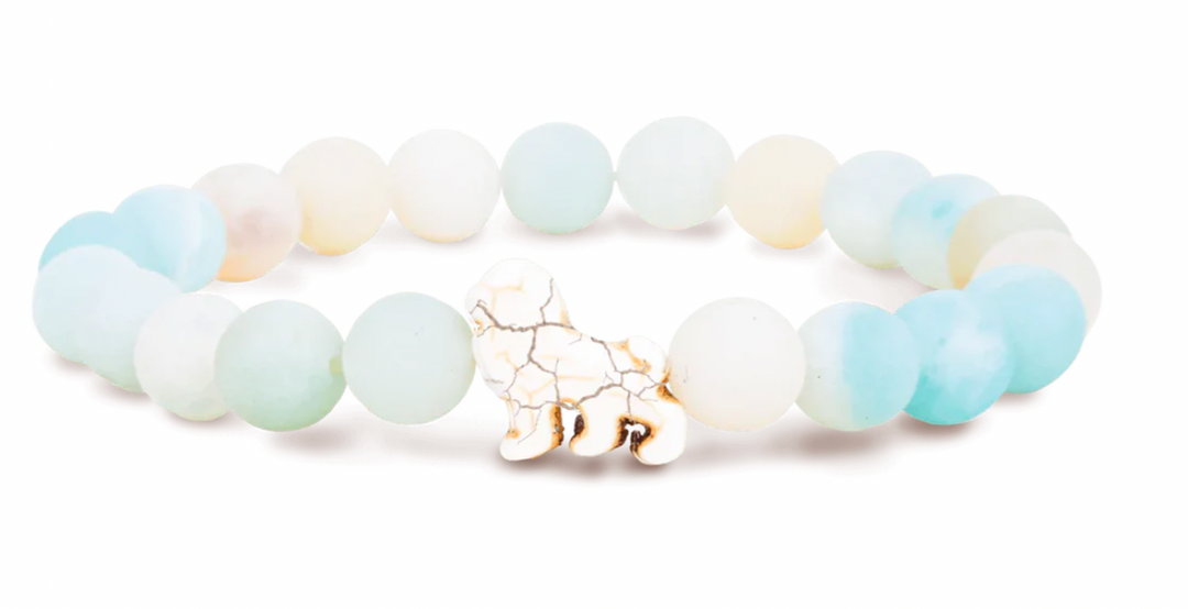Fahlo Lion Collection