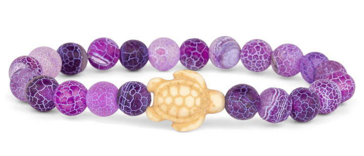 Fahlo Sea Turtle Collection