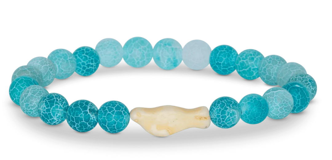 Fahlo Seal Collection