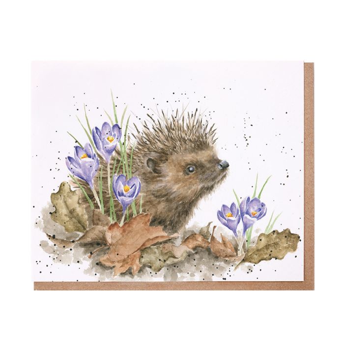 Wrendale greeting card featuring watercolor hedgehog among purple spring crocuses and autumn leaves
