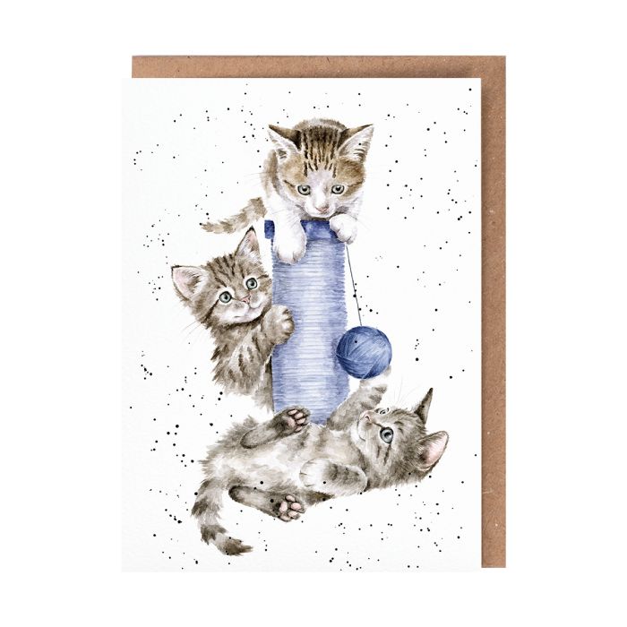 Wrendale greeting card featuring watercolor illustration of three gray tabby kittens playing with blue water bowl