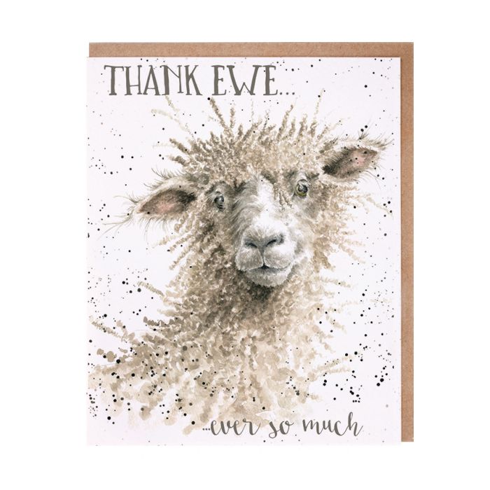 Wrendale thank you card featuring watercolor sheep illustration with brown envelope