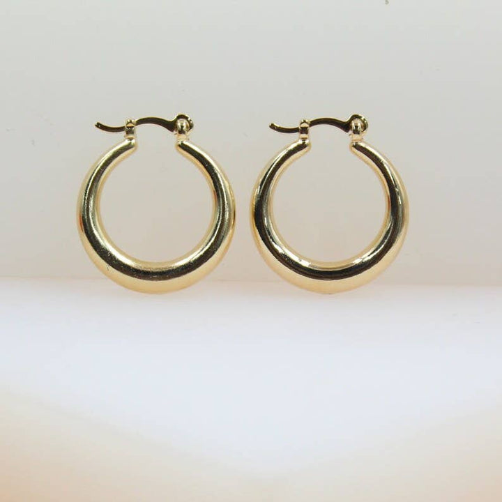 18K Gold Filled Thin to Thick Hoop Earrings