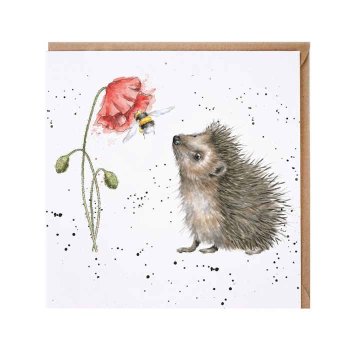 Wrendale Designs greeting card featuring a hedgehog looking at a bee on a red poppy
