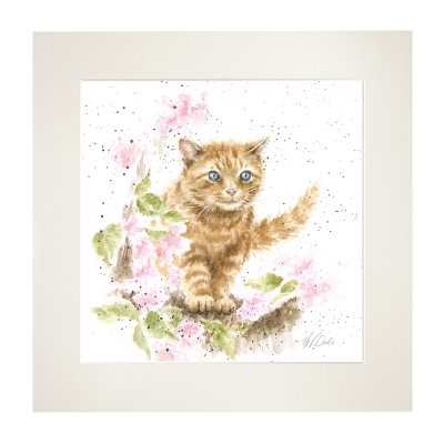 Wrendale Marmalade Cat Mini Card featuring watercolor ginger kitten with pink flowers